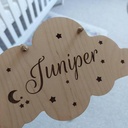 Personalized-Wooden and Engraved Baby Door sign
