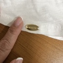 Custom Branding Acrylic Tags 50-100 PCS